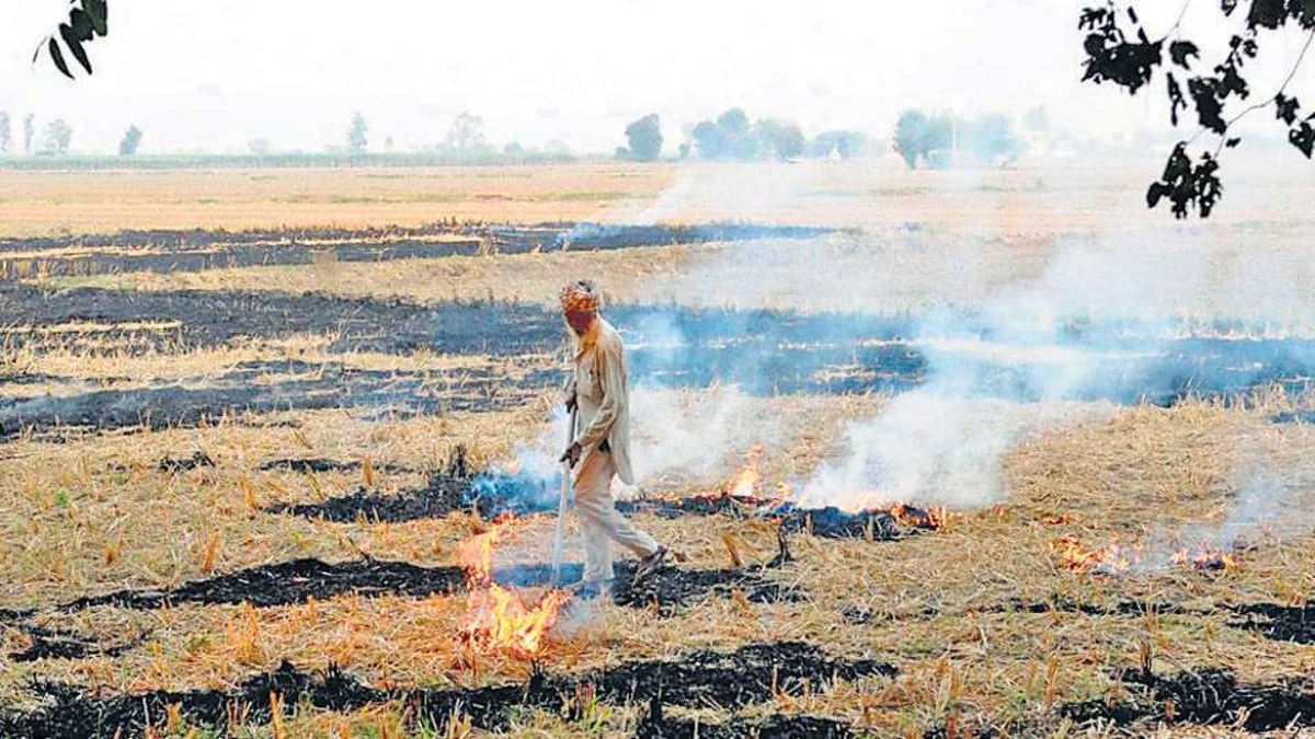 Stubble Burning की समस्या से निपटने के लिए Punjab Governmentकी बड़ी पहल, Cooperative Banks के ज़रिए शुरू की Crop Residue Management Loan Scheme