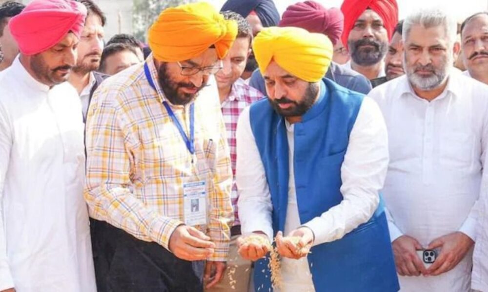 Mann सरकार का कमाल: 150 Lakh MT से ज़्यादा धान खरीद, 11 Lakh किसानों को तेज़ भुगतान — Punjab ने बनाया Record
