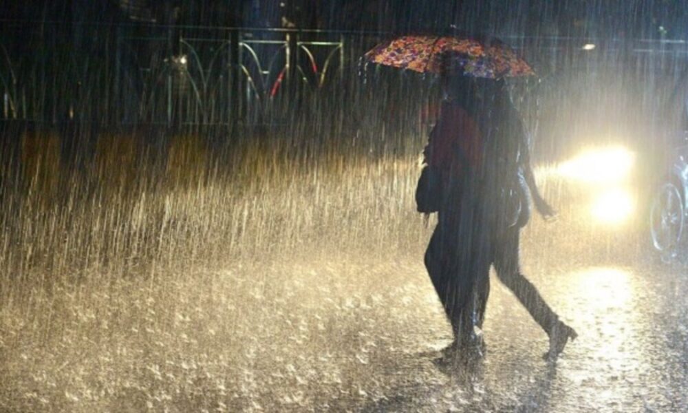 पंजाब में कल से फिर बारिश के आसार:9 जिलों में शीत लहर का अलर्ट; फरीदकोट का तापमान 3 डिग्री रहा