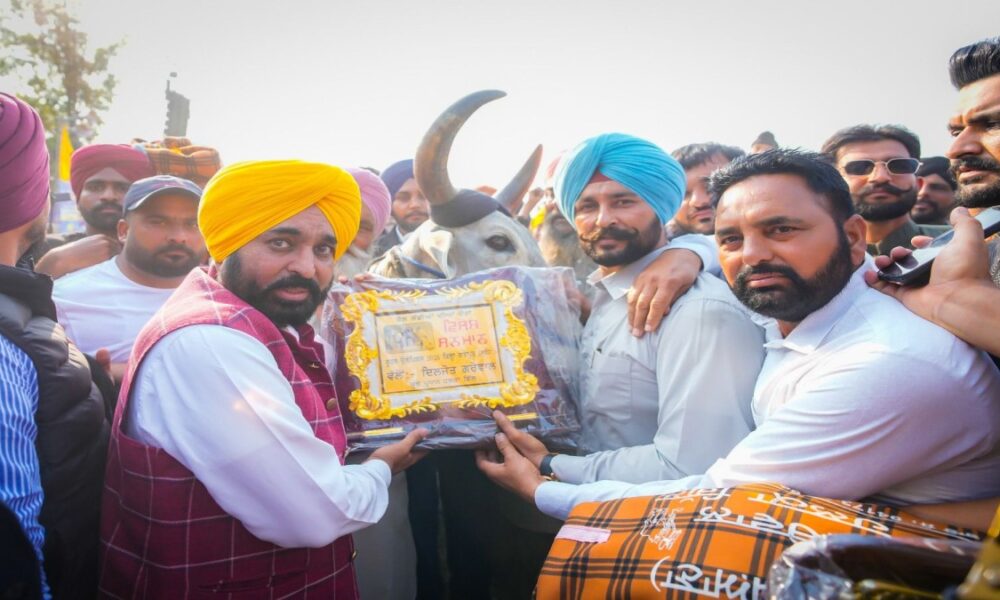 पिछली सरकारों के कार्यकाल के दौरान बैल गाड़ियों की दौड़ों पर रोक लगी थी, हमने कानून में संशोधन करके फिर से शुरू किया: CM भगवंत सिंह मान