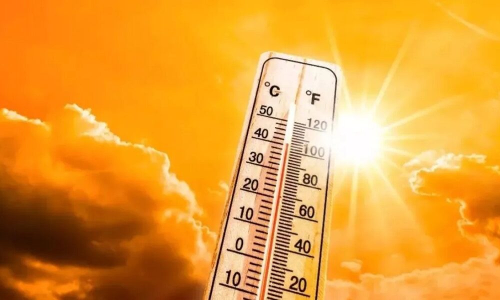 पंजाब में अगले 2 दिन बढ़ेगी गर्मी, मार्च तक तापमान 29 °C तक पहुंचने का अनुमान !