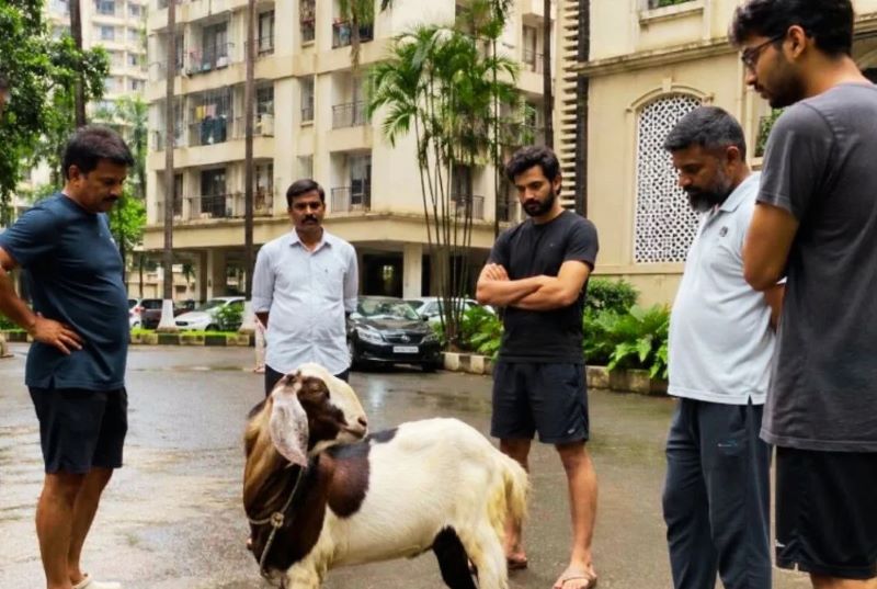 कहां दी जा सकती है बकरीद की कुर्बानी और सोसायटियों में क्यों होता है विवाद? जानिए नियम, कानून और पूरा मामला
