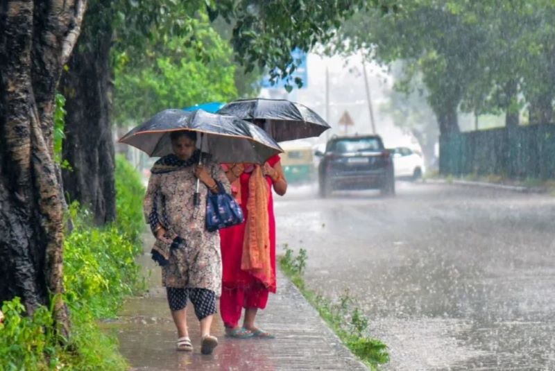 पंजाब में मानसून ने पकड़ी रफ्तार, कई जिलों में झमाझम बारिश; अगले एक सप्ताह तक बरसात का सिलसिला जारी रहने के संकेत