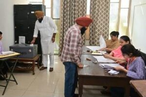 पंजाब यूनिवर्सिटी सीनेट चुनाव: 15 सीटों पर 51 उम्मीदवारों की किस्मत दांव पर, 271 बूथों पर वोटिंग शुरू